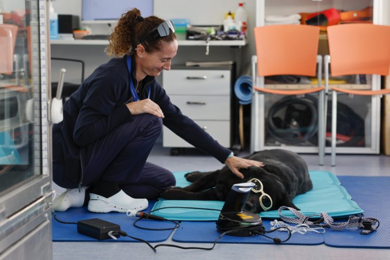El Congrés de Sanitat i Benestar Animal exigix integrar als veterinaris en els plans d’emergència