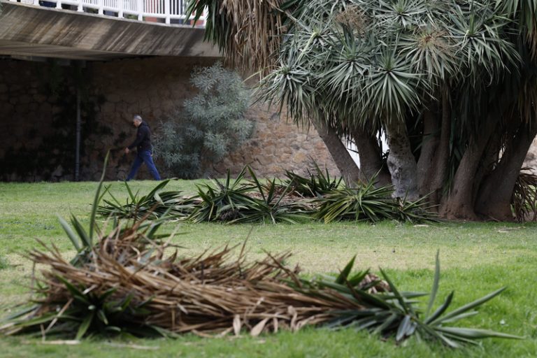 València destina 16 milions a rehabilitar els trams X i XI del Jardí del Túria