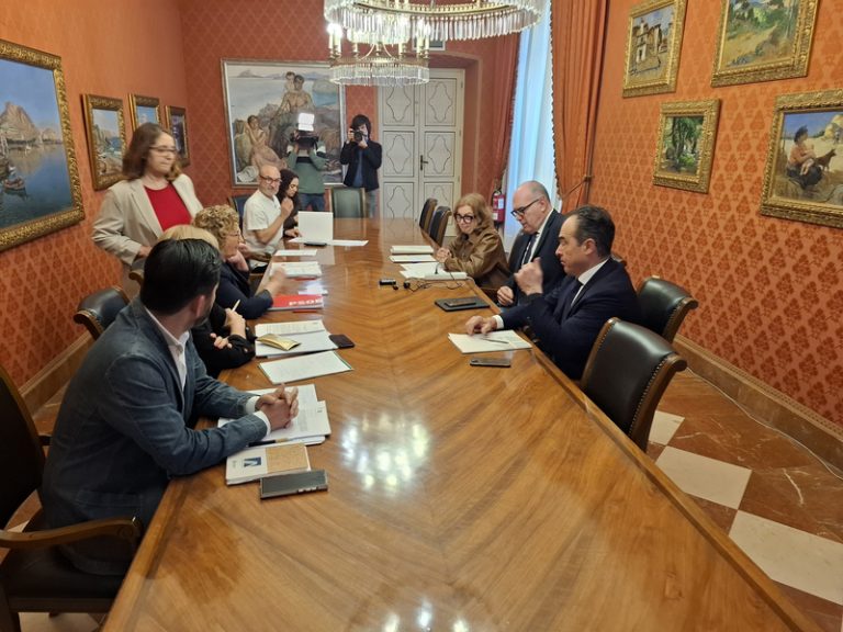L’administrador de Fraorgi compareixerà en la comissió sobre les vivendes dels Naus a Alacant
