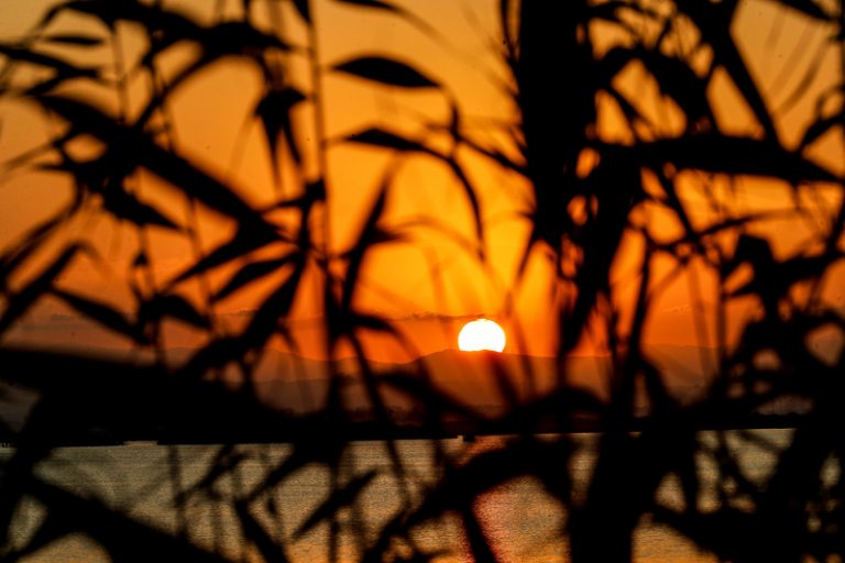 El Mediterrani més fresc retarda les nits tropicals en el sud-est peninsular