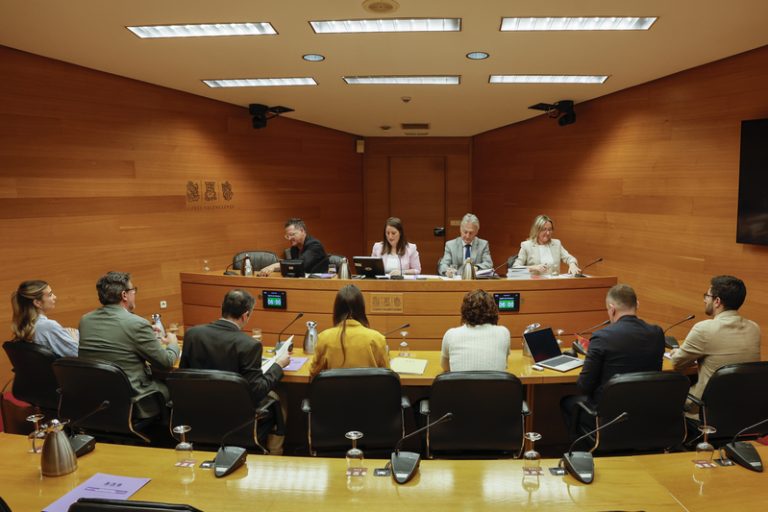 La comissió sobre les VPP d’Alacant ajorna la votació del seu pla de treball