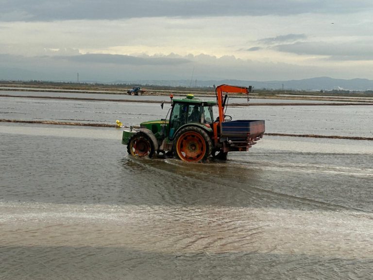 AVA-ASAJA alerta de la sembra d’arròs més cara per l’encariment del gasoil i la urea