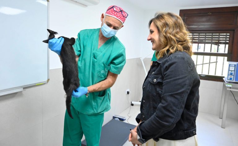 València inaugura el primer centre municipal veterinari per a colònies felines d’Espanya