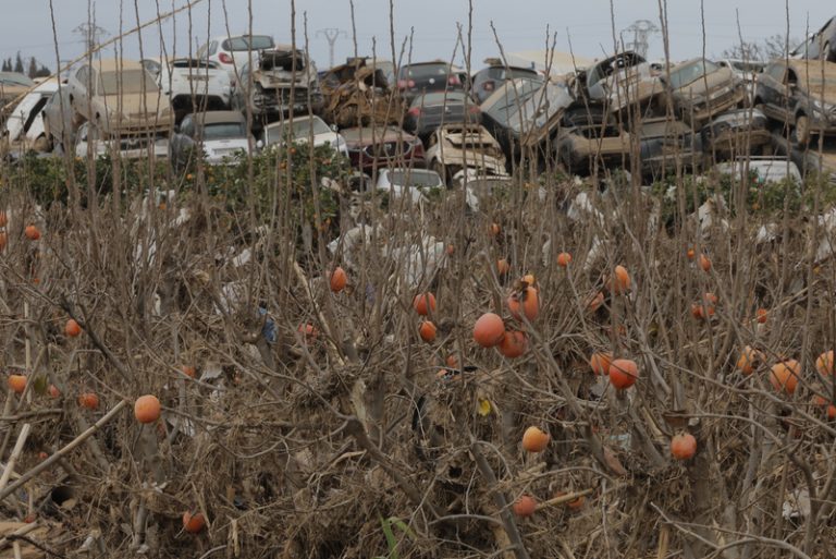 El Govern reforça amb 64 milions la recuperació agrària després de la dana de 2024