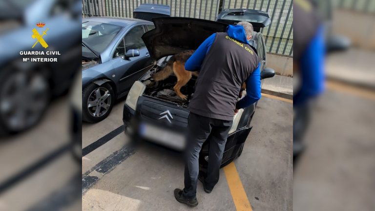 Dos detinguts a Benetússer després d’una transacció amb 8 quilos de cocaïna i 87.000 euros