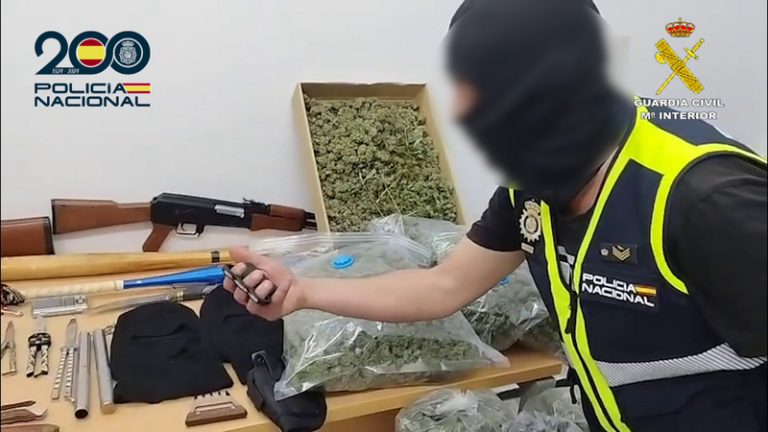 Sis detinguts i sis plantacions de marihuana desmantellades a Alcoi, Cocentaina i l’Alqueria d’Asnar