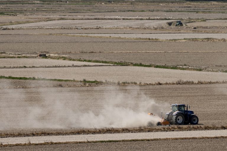 Un estudi xifra en un 80% la reducció de pèrdues per danes amb agricultura regenerativa