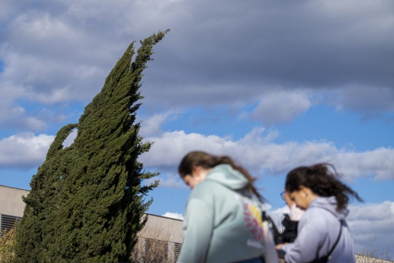 L’avís groc per vent de fins a 80 km/h continua actiu a l’interior nord de Castelló