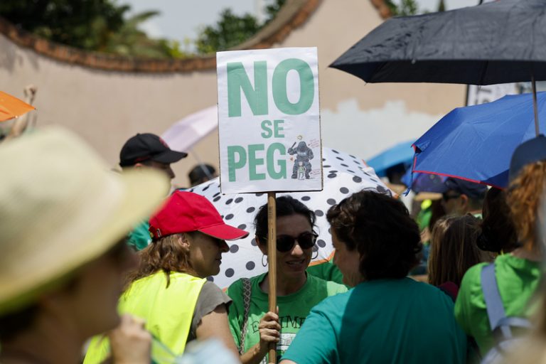 El Defensor del Poble obri una investigació per l’actuació policial en una protesta docent a València