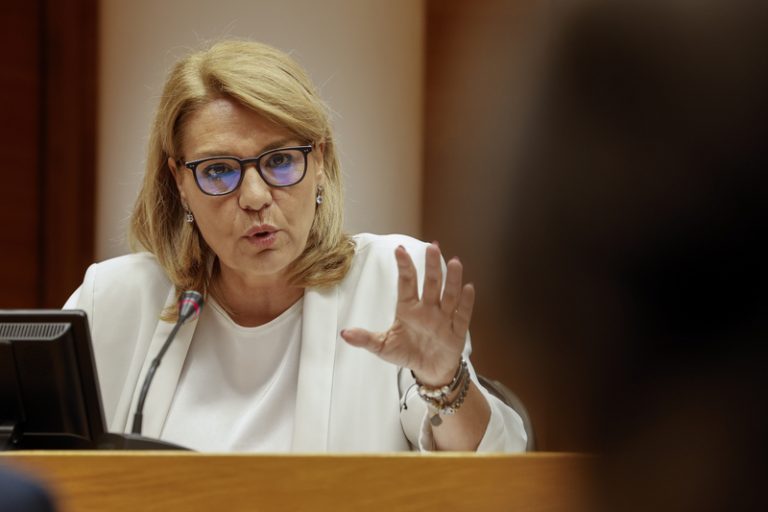 Camarero defén que l’arrelament serà un criteri clau per a accedir a una vivenda pública