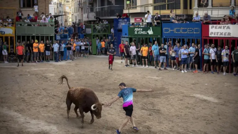 Bous al Carrer en una localitat de Castelló, imatge d’arxiu